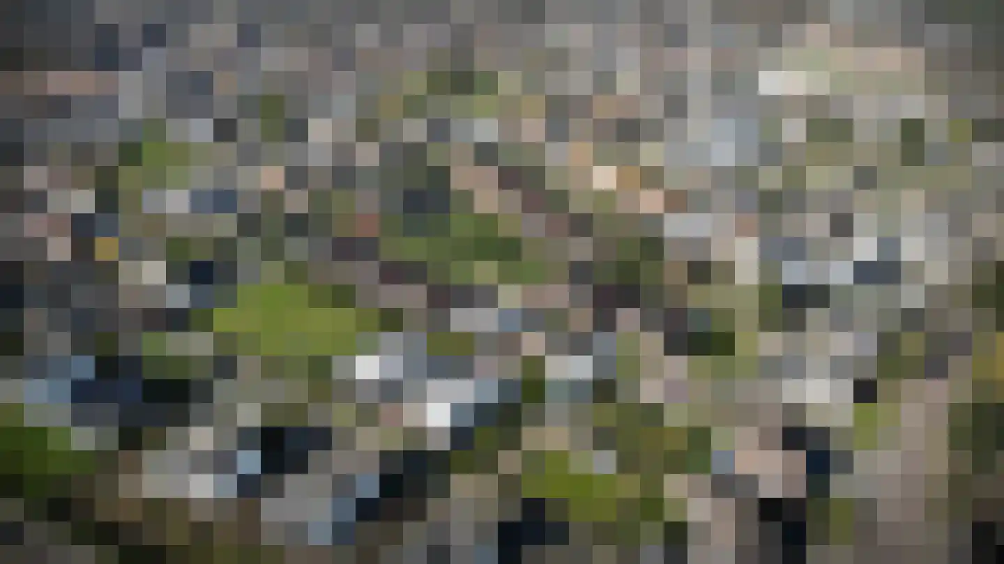 Voorstraat 36 Ammerzoden thumbnail 4