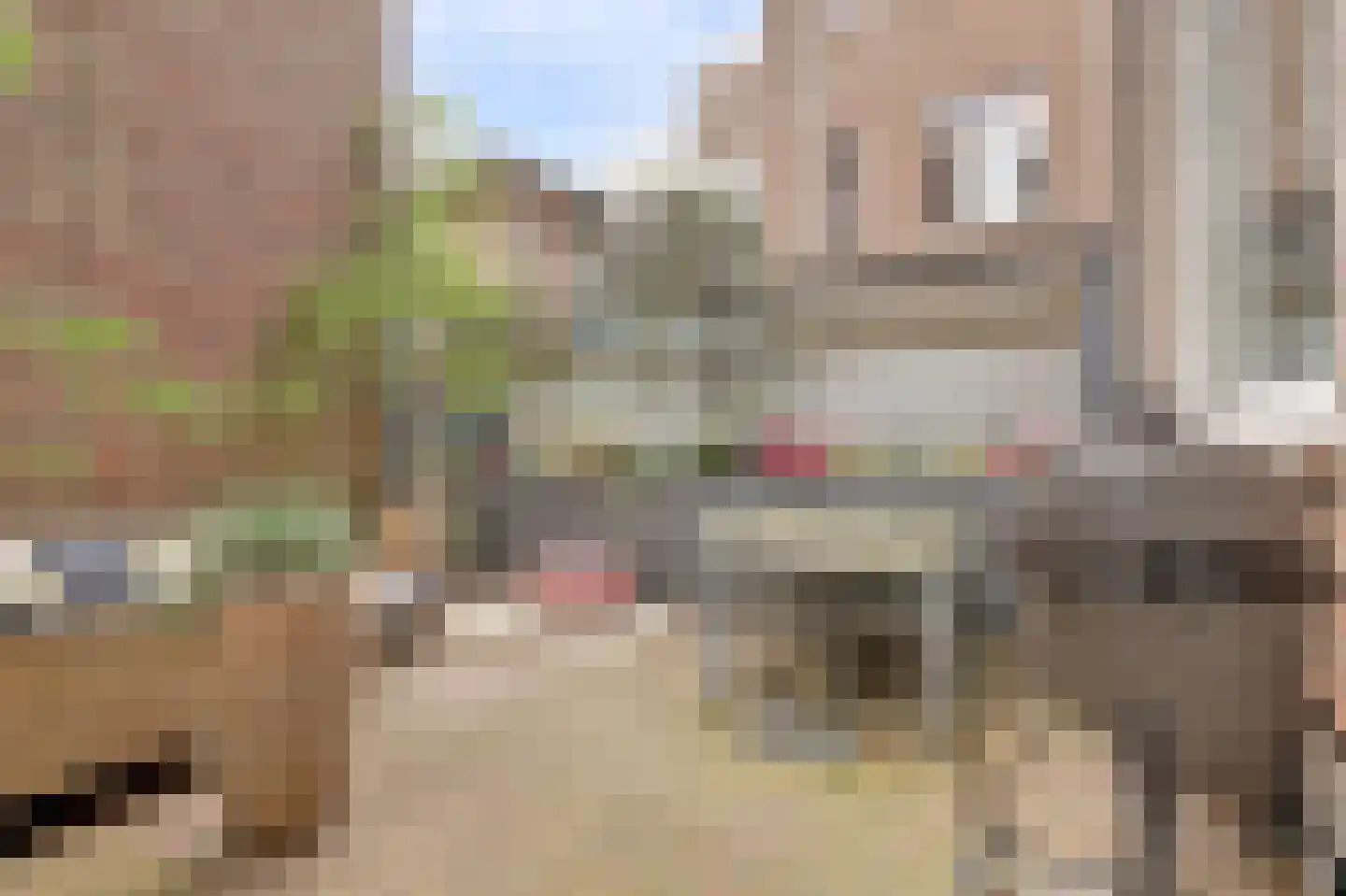 Voorstraat 36 B Delft thumbnail 31