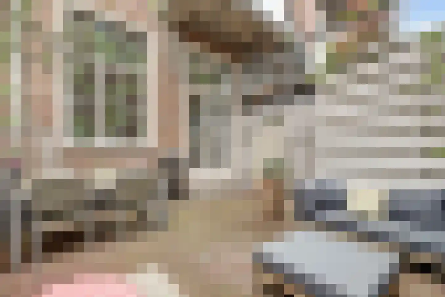Voorstraat 36 H Delft thumbnail 5