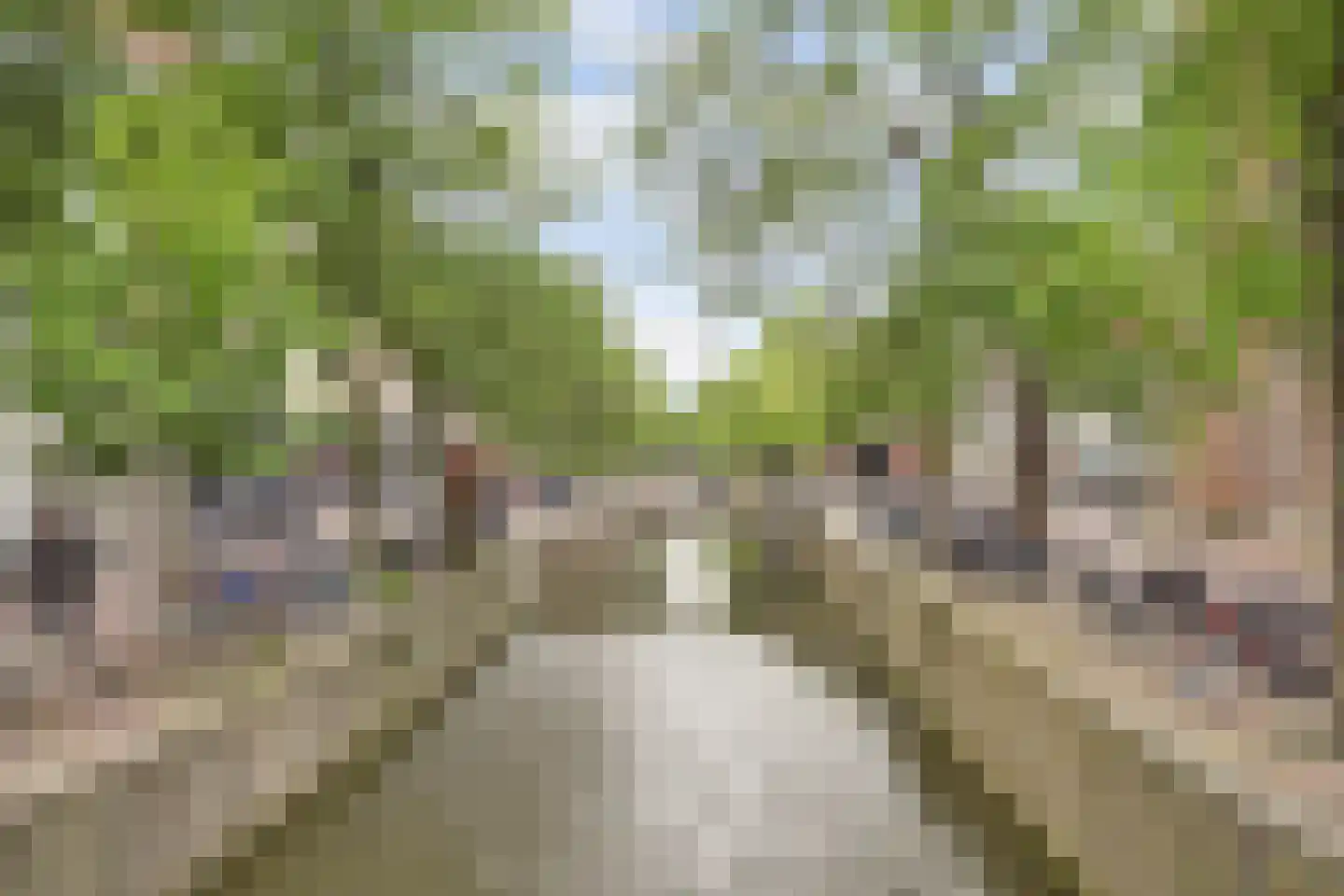 Voorstraat 36 H Delft thumbnail 52