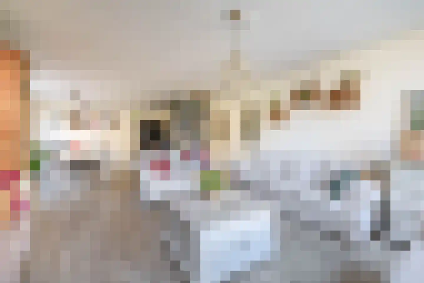Voorstraat 36 Oude-Tonge thumbnail 13