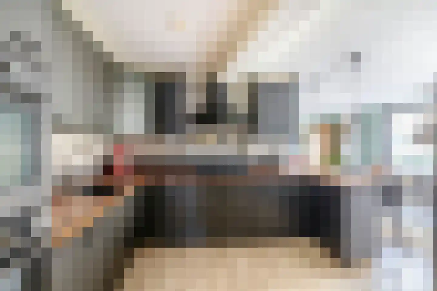 Voorstraat 36 Oude-Tonge thumbnail 17