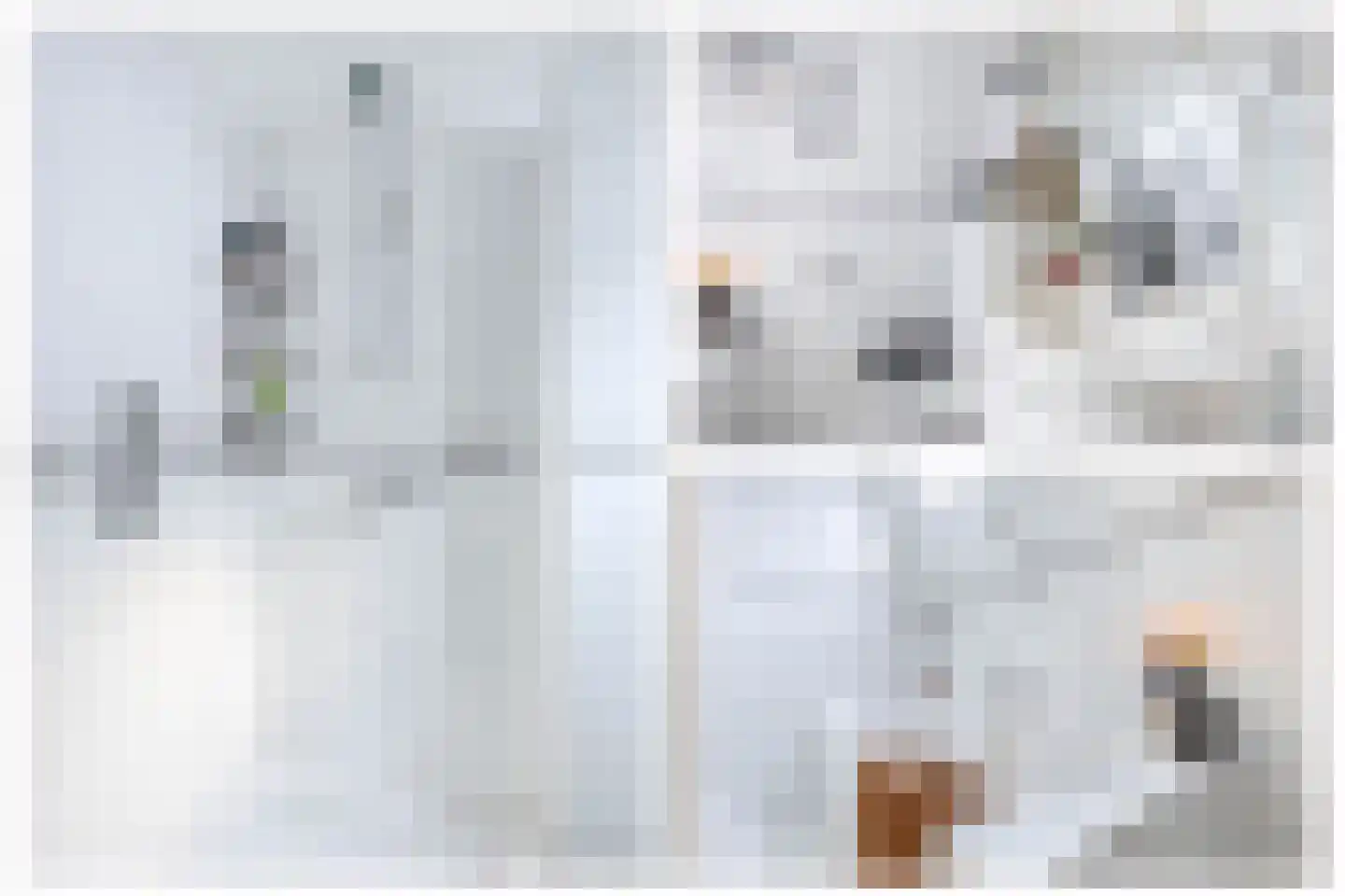 Voorstraat 36 Oude-Tonge thumbnail 29