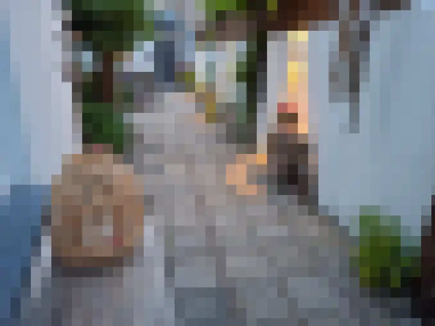 Voorstraat 36 Oude-Tonge thumbnail 33