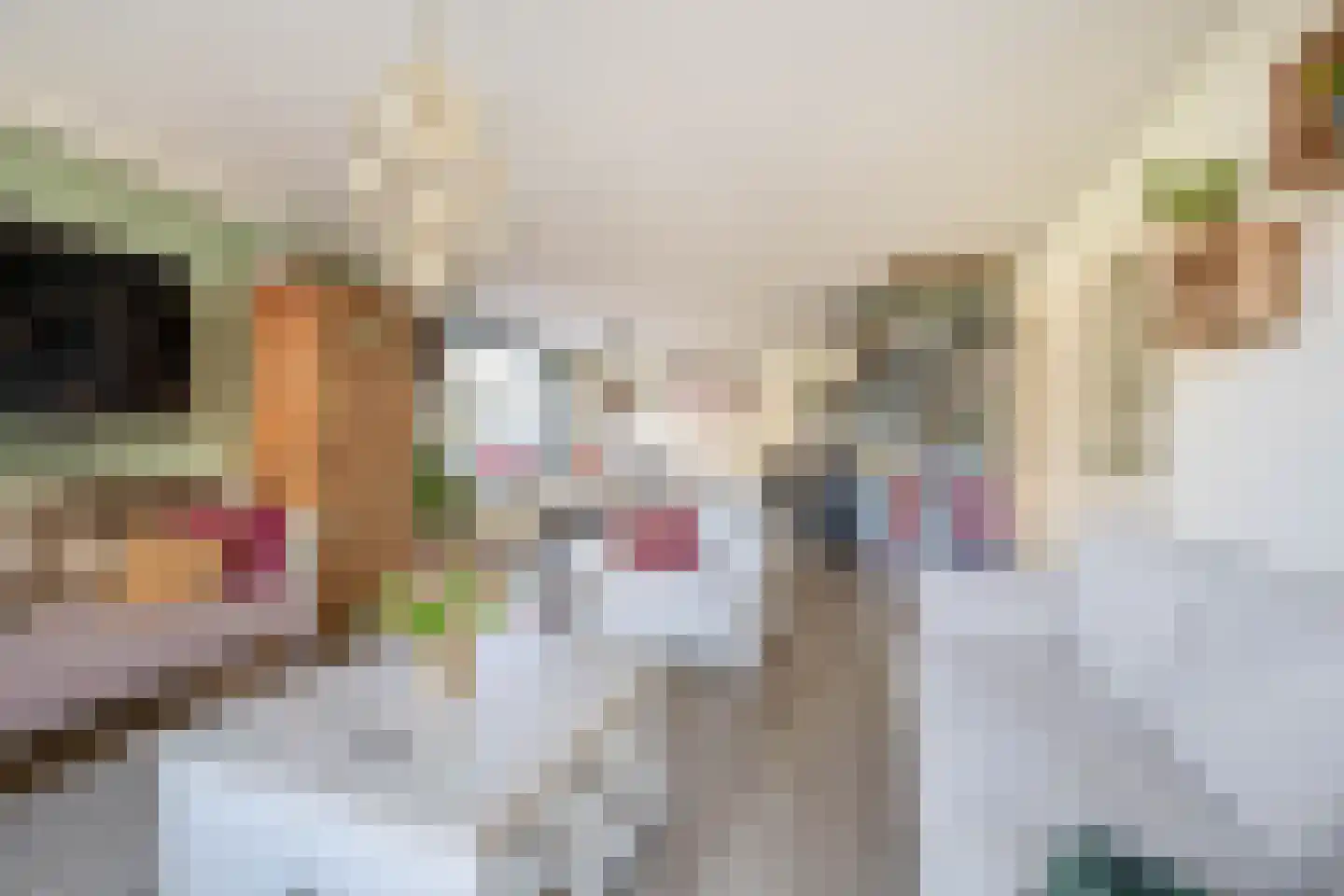 Voorstraat 36 Oude-Tonge thumbnail 4