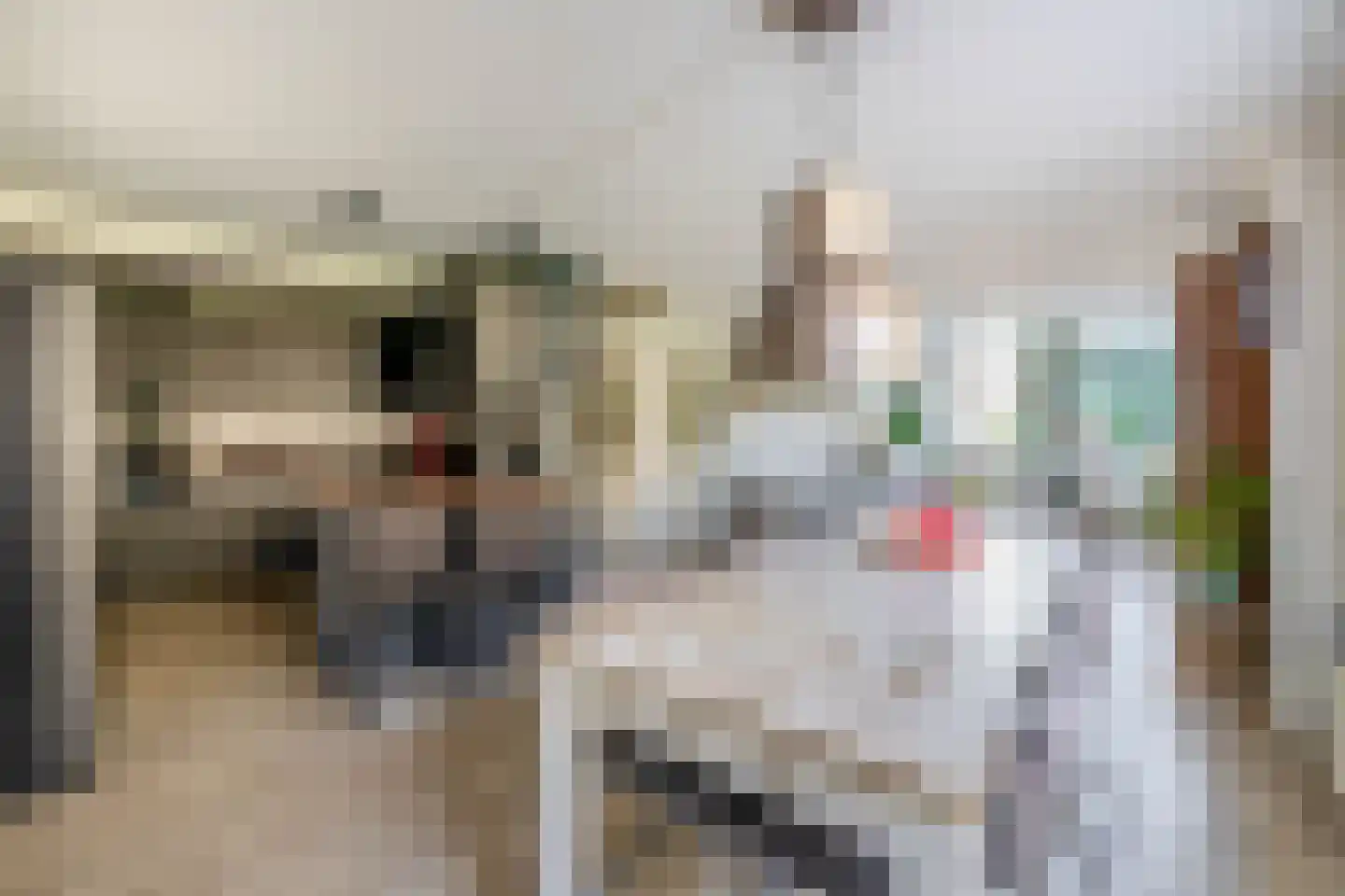 Voorstraat 36 Oude-Tonge thumbnail 5