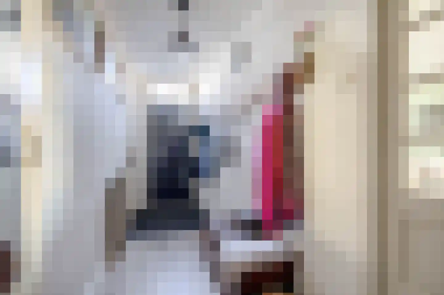 Voorstraat 36 Oude-Tonge thumbnail 8