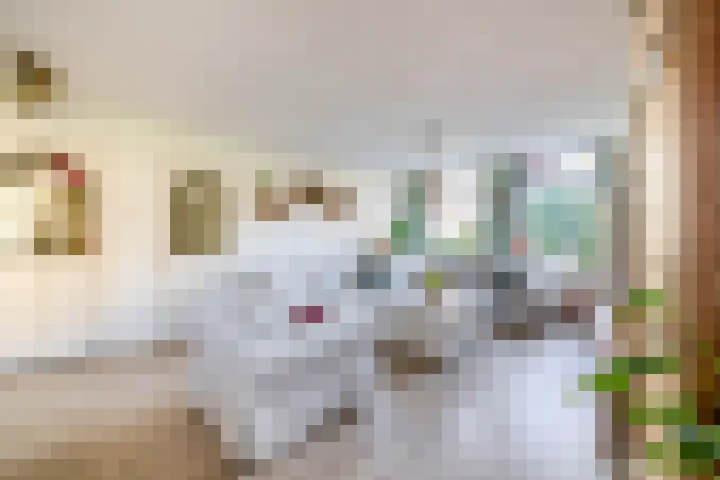 Voorstraat 36 Oude-Tonge thumbnail 9