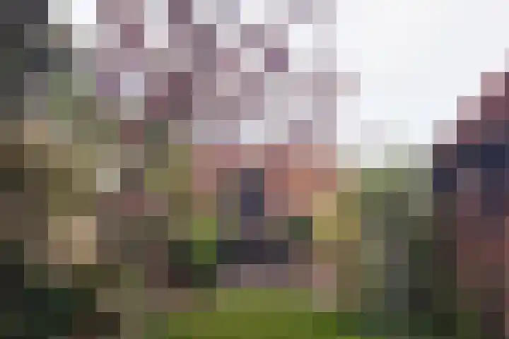Voorstraat 36 Stad aan 't Haringvliet thumbnail 28
