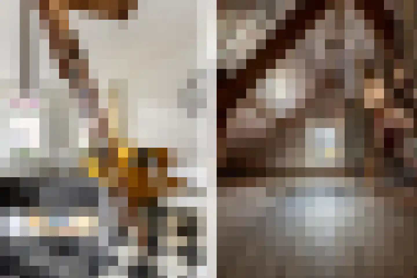 Voorstraat 38 Brielle thumbnail 11
