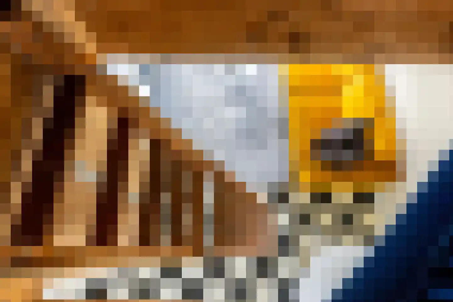 Voorstraat 38 Brielle thumbnail 13