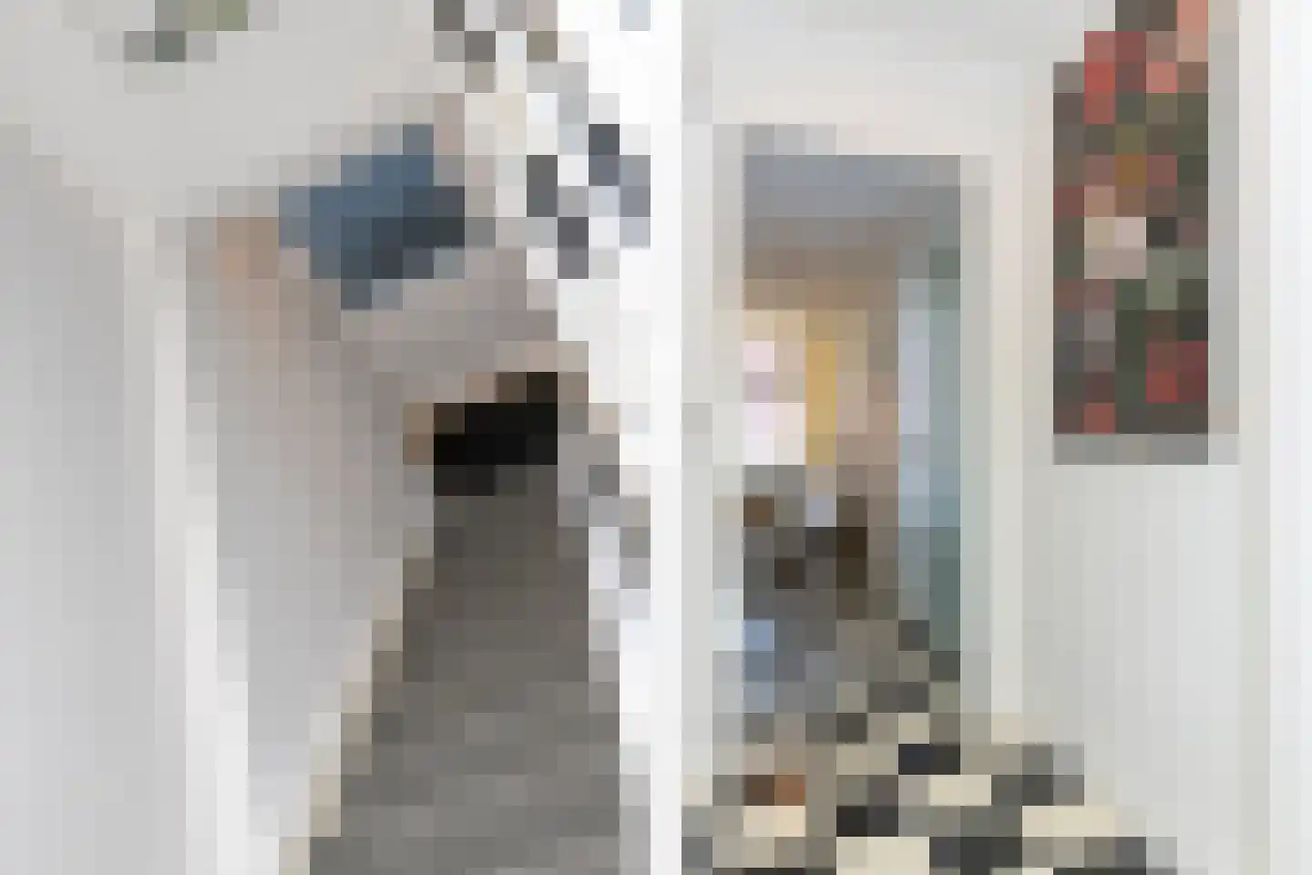 Voorstraat 38 Brielle thumbnail 7