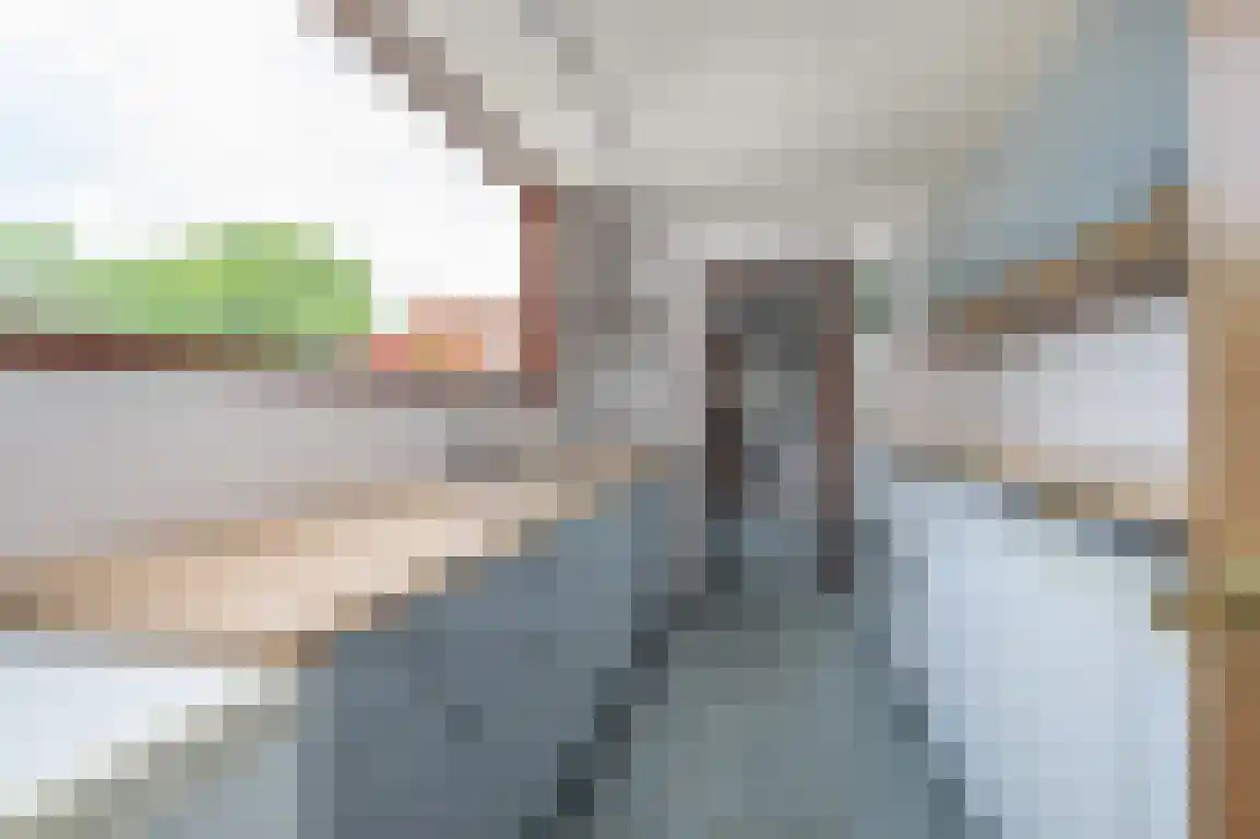 Voorstraat 38 Sommelsdijk thumbnail 20