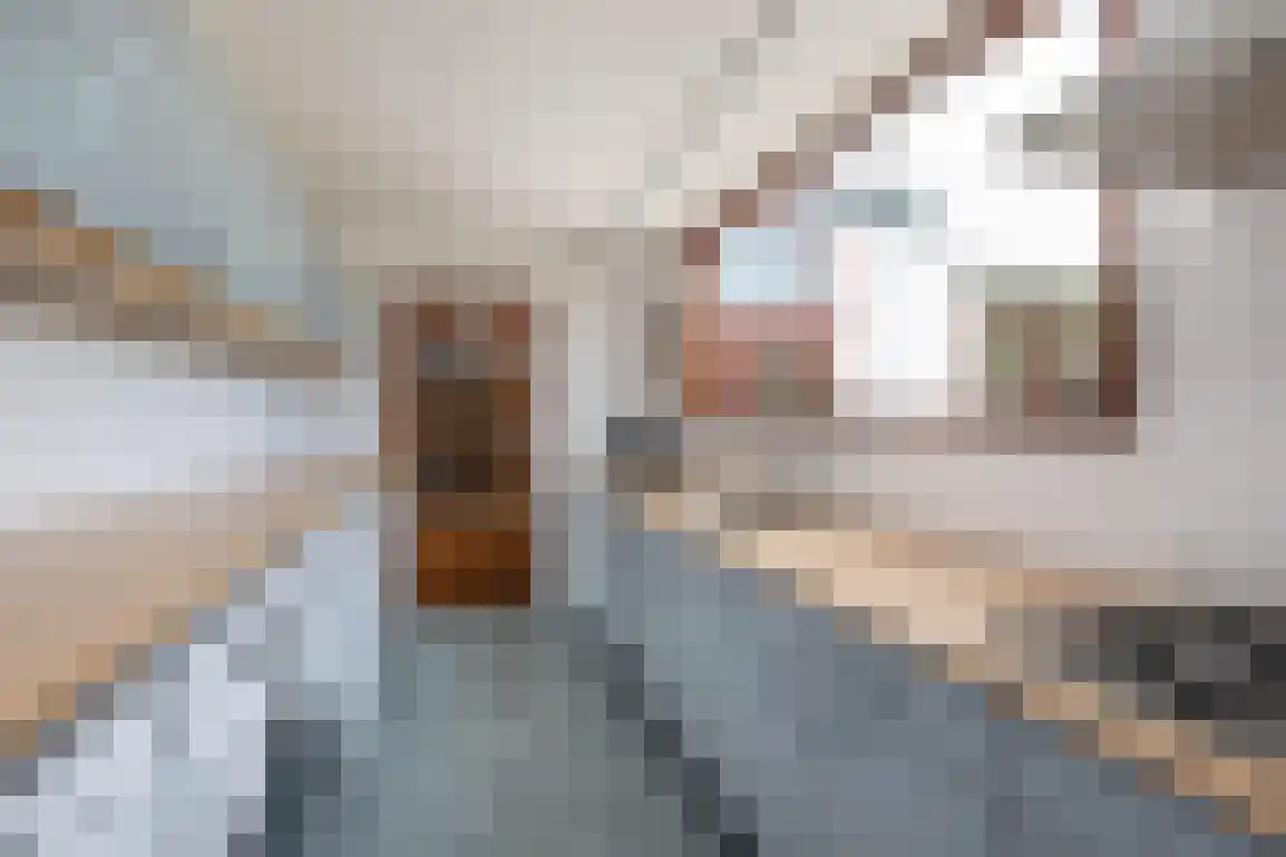 Voorstraat 38 Sommelsdijk thumbnail 21