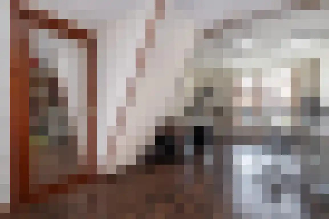 Voorstraat 38 Sommelsdijk thumbnail 30