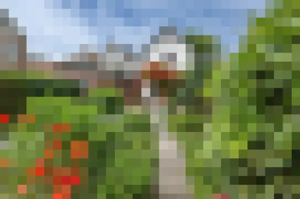 Voorstraat 38 Sommelsdijk thumbnail 46