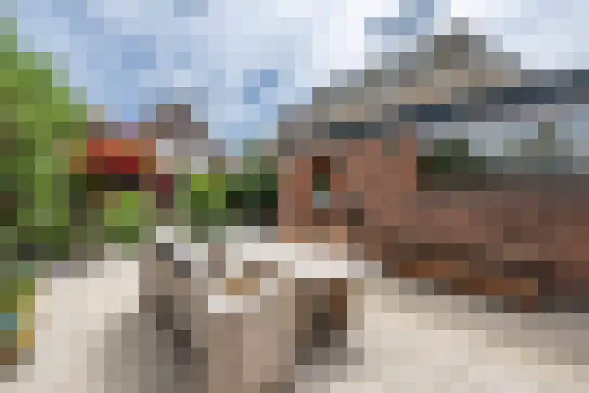 Voorstraat 38 Sommelsdijk thumbnail 49