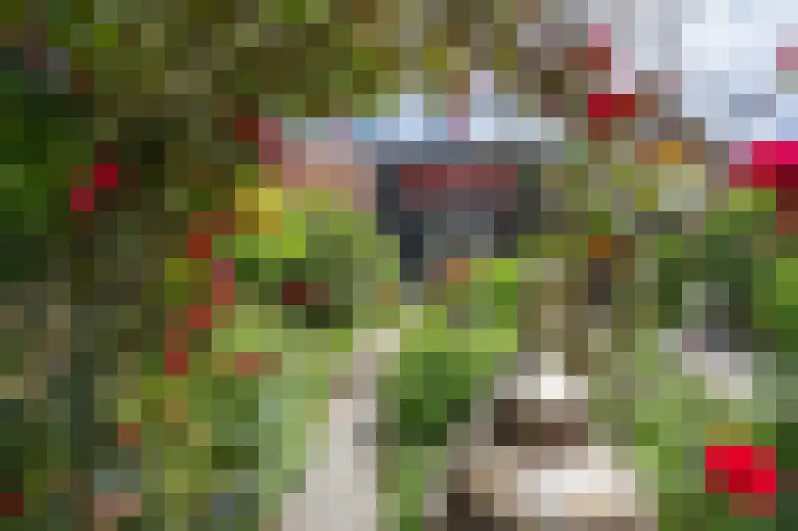 Voorstraat 38 Sommelsdijk thumbnail 53