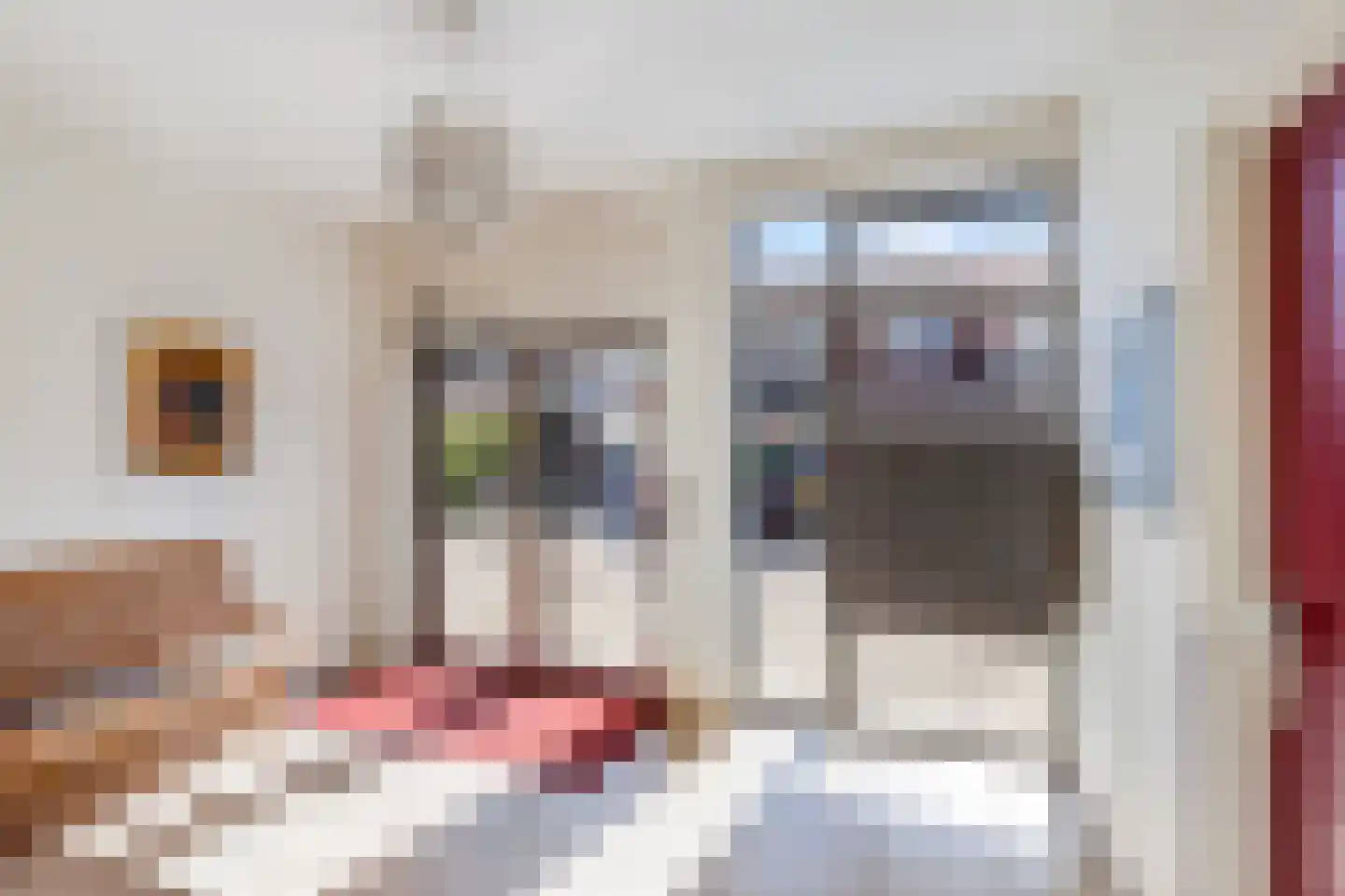 Voorstraat 39 b Woudenberg thumbnail 22