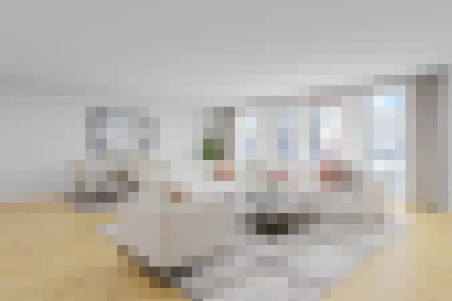Voorstraat 39 b Woudenberg thumbnail 4
