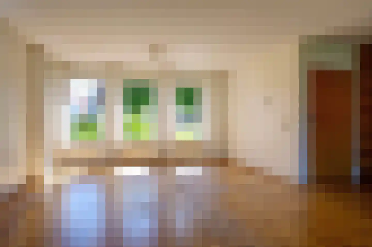 Voorstraat 39 Bad Nieuweschans thumbnail 18
