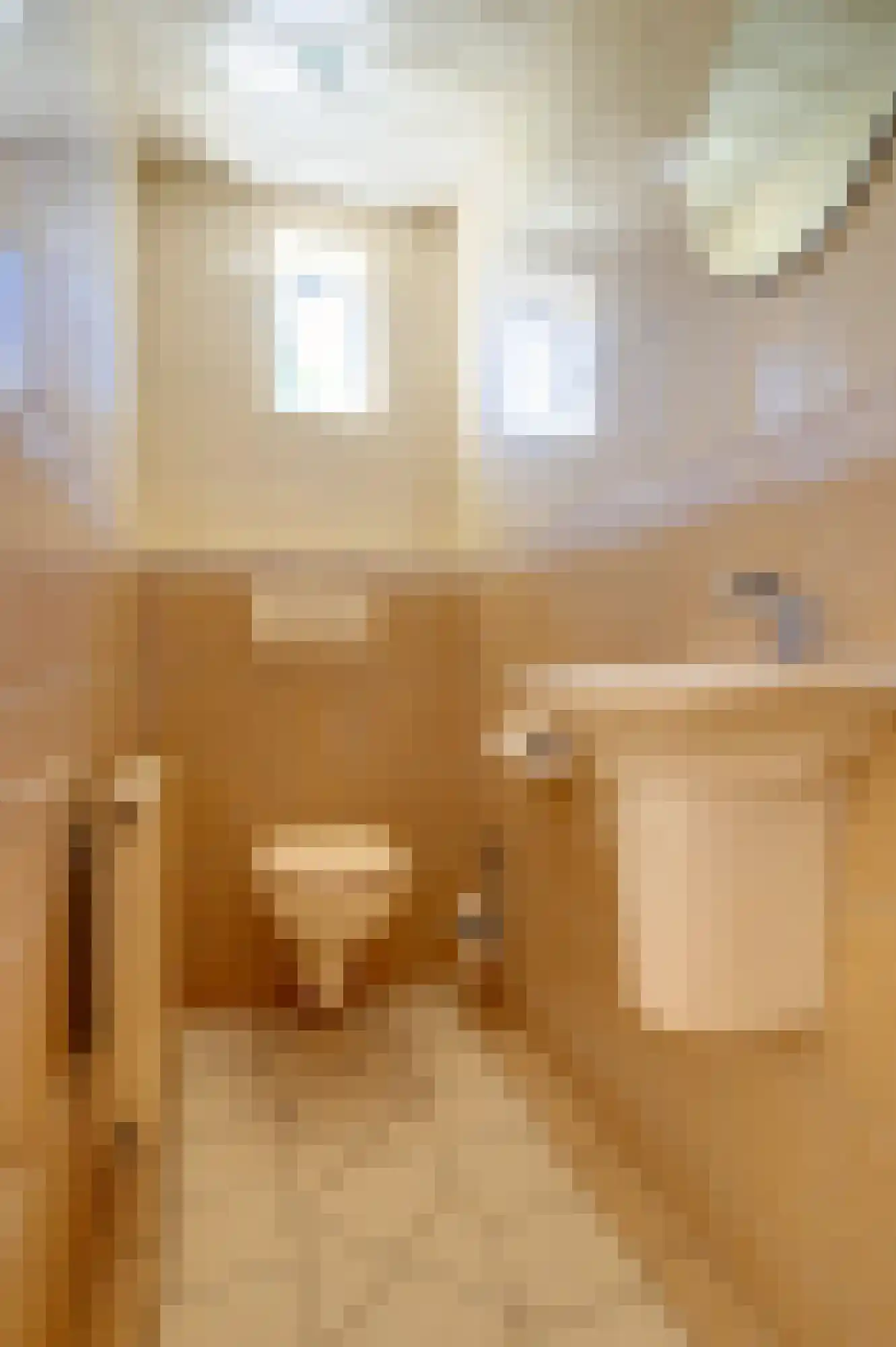 Voorstraat 39 Bad Nieuweschans thumbnail 21