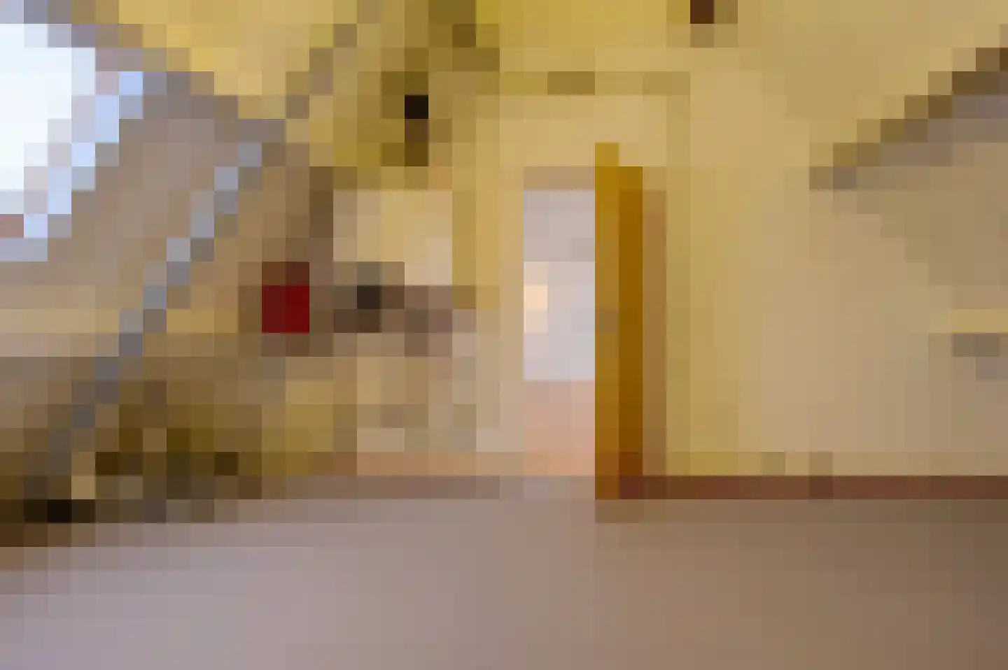 Voorstraat 39 Bad Nieuweschans thumbnail 31