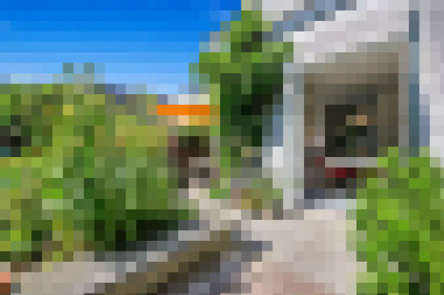 Voorstraat 39 Poeldijk thumbnail 27