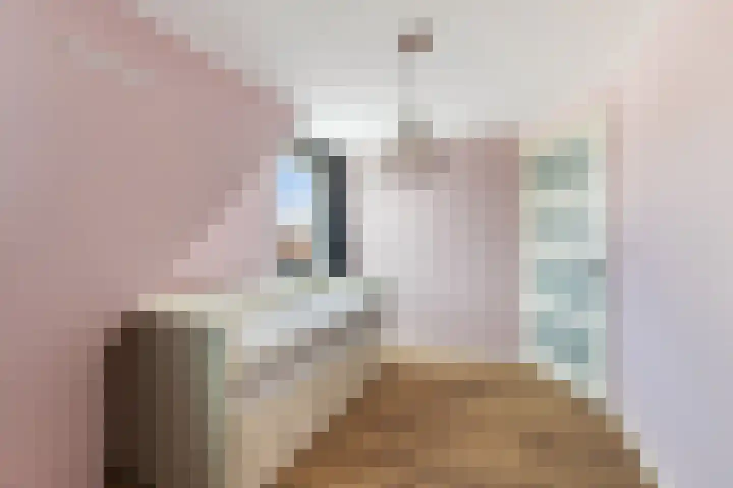Voorstraat 39 Sint-Annaland thumbnail 41