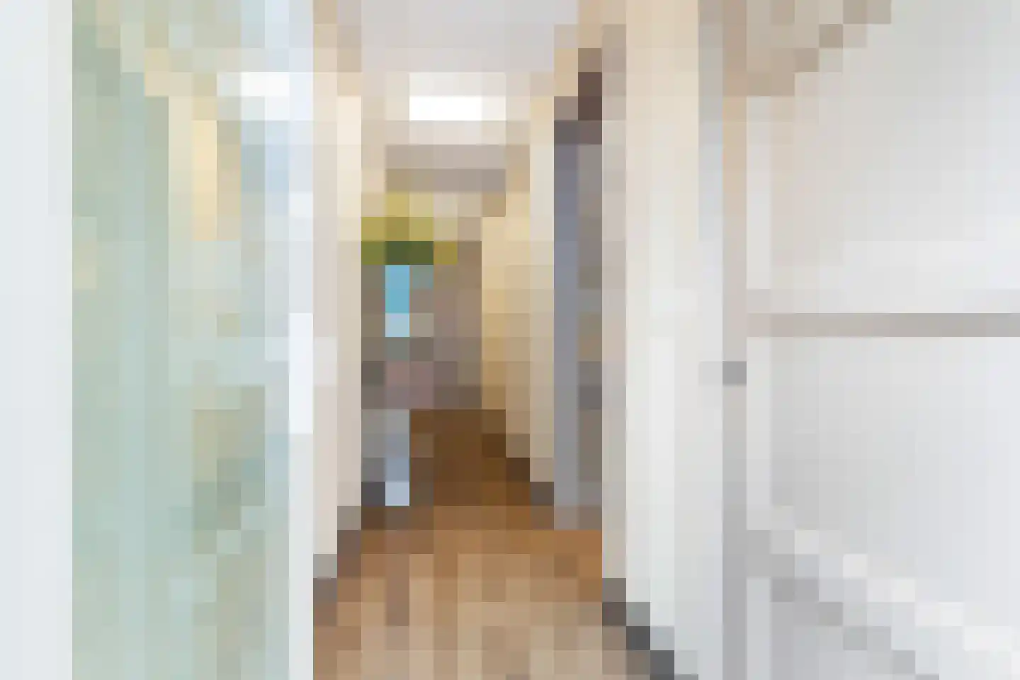 Voorstraat 39 Sint-Annaland thumbnail 5
