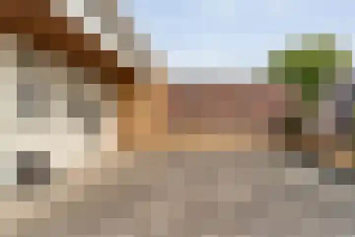 Voorstraat 4 a Hardenberg thumbnail 28