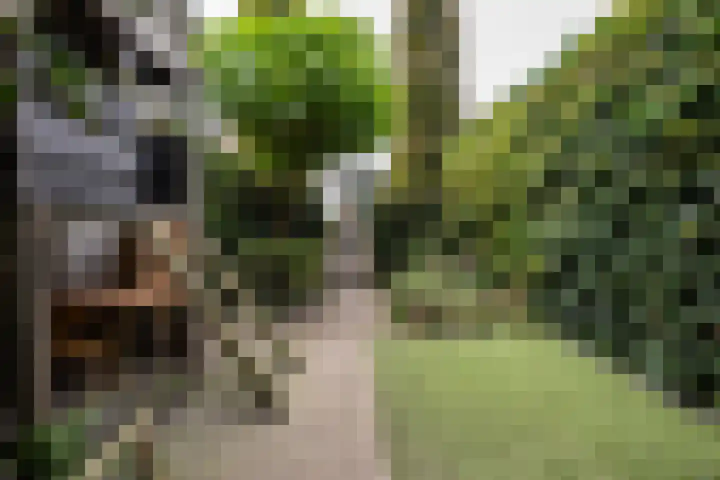 Voorstraat 4 Dirksland thumbnail 24