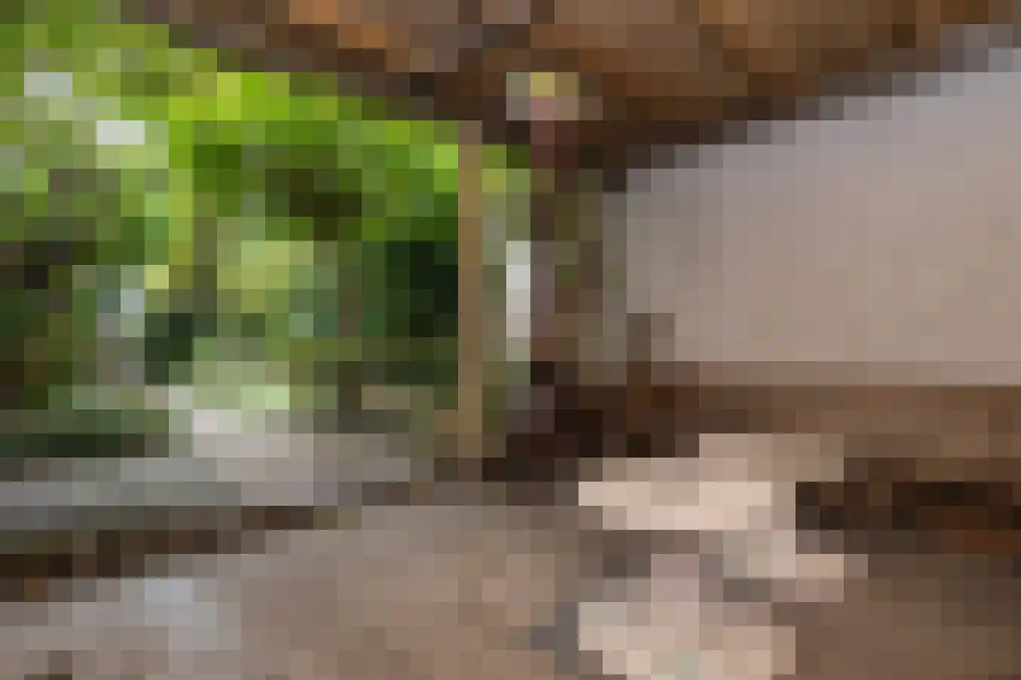 Voorstraat 4 Dirksland thumbnail 26