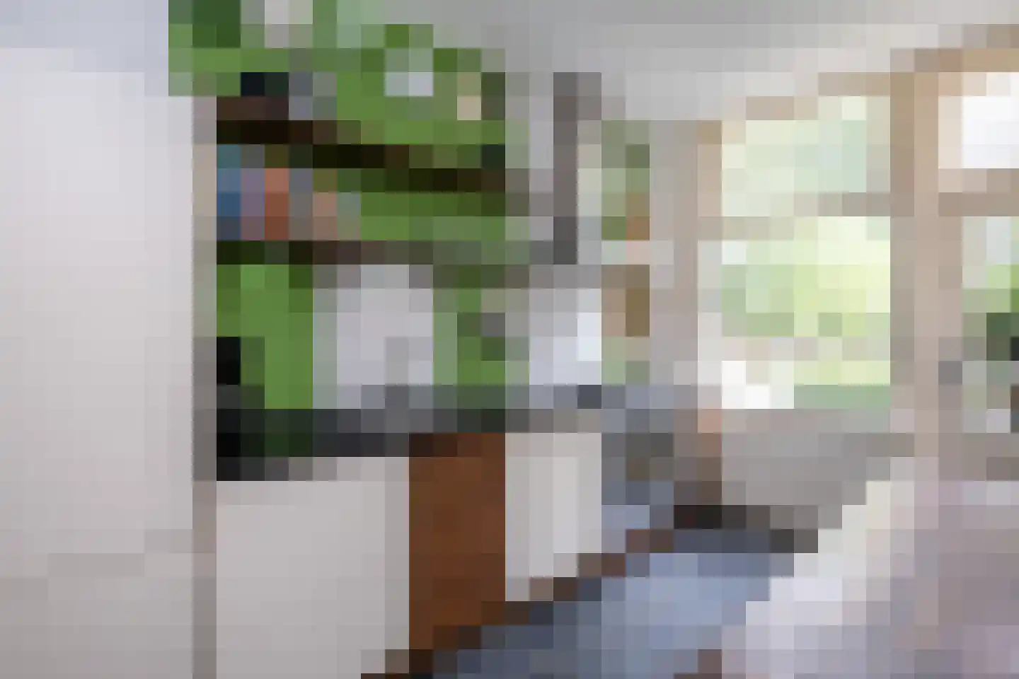 Voorstraat 4 Dirksland thumbnail 8