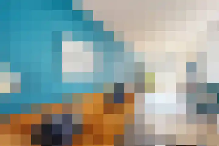 Voorstraat 4 Fijnaart thumbnail 12
