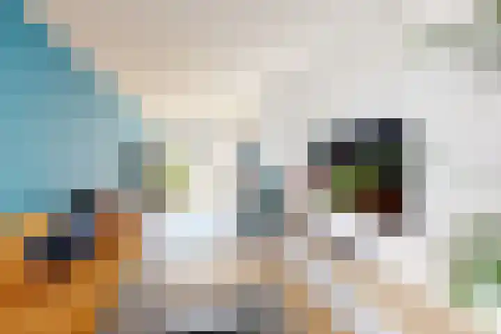 Voorstraat 4 Fijnaart thumbnail 13