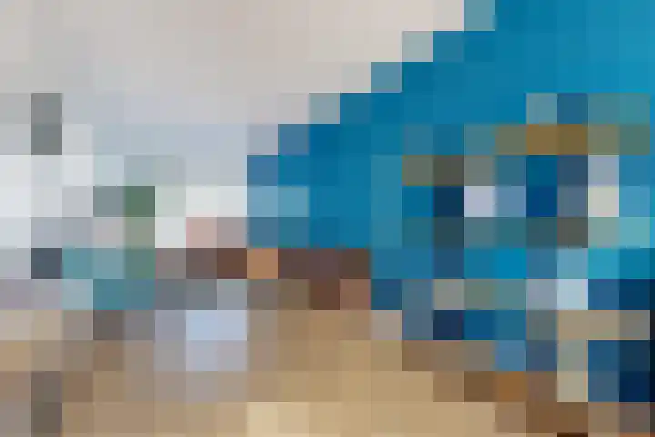 Voorstraat 4 Fijnaart thumbnail 18