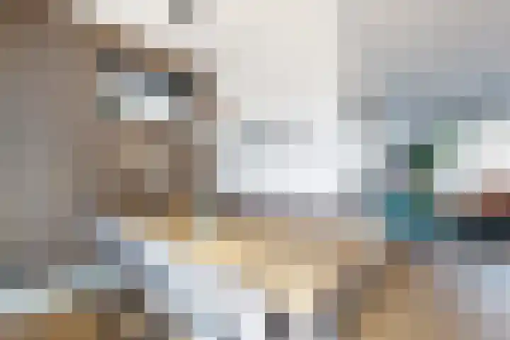 Voorstraat 4 Fijnaart thumbnail 19