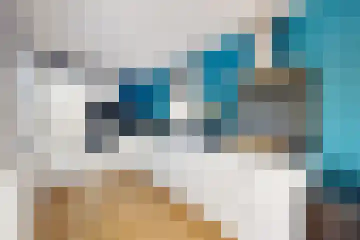 Voorstraat 4 Fijnaart thumbnail 23