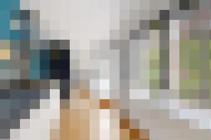 Voorstraat 4 Fijnaart thumbnail 24