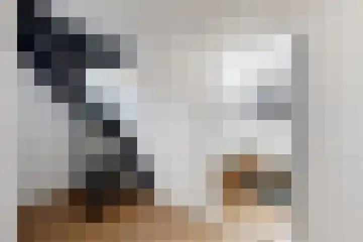 Voorstraat 4 Fijnaart thumbnail 30