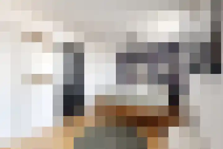 Voorstraat 4 Fijnaart thumbnail 31