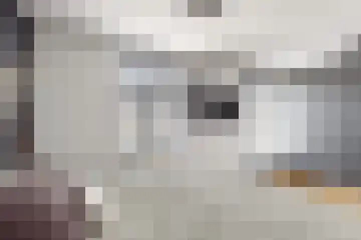 Voorstraat 4 Fijnaart thumbnail 33
