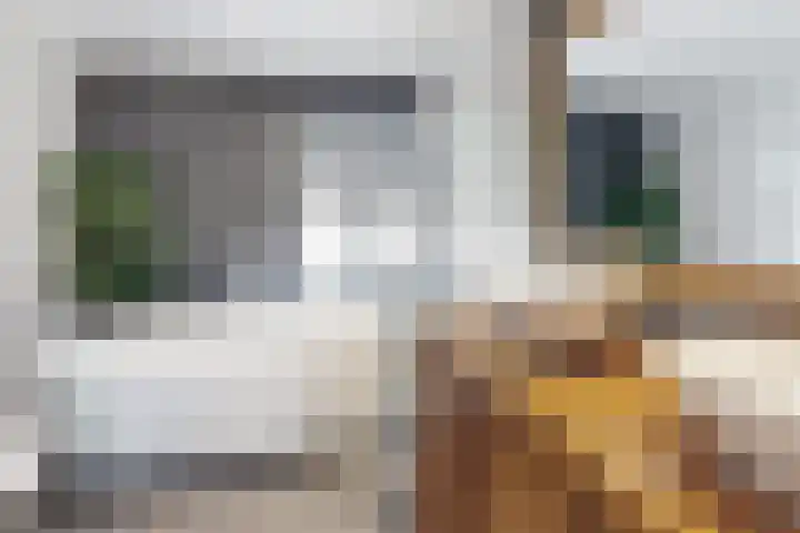 Voorstraat 4 Fijnaart thumbnail 39