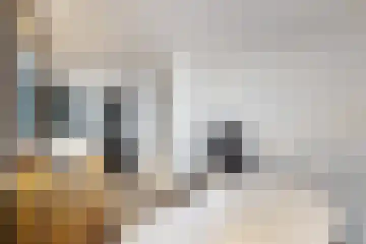 Voorstraat 4 Fijnaart thumbnail 40