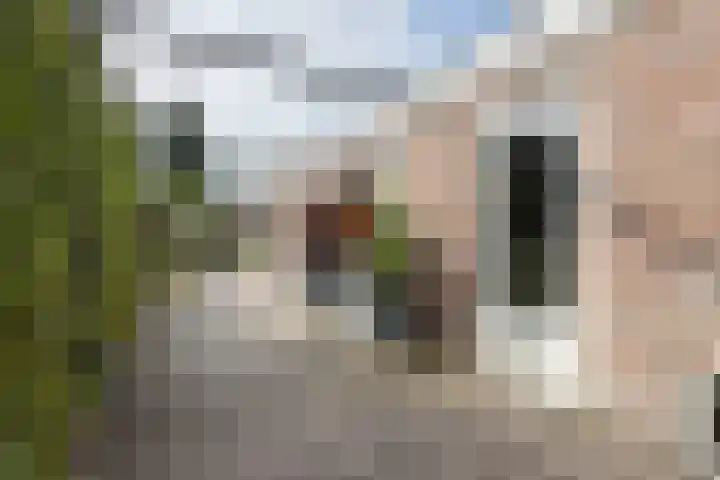 Voorstraat 4 Fijnaart thumbnail 58