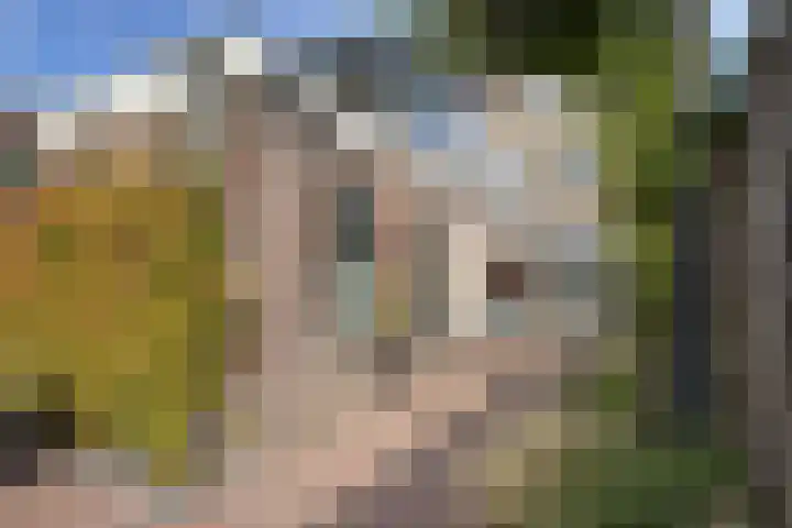 Voorstraat 4 Fijnaart thumbnail 59