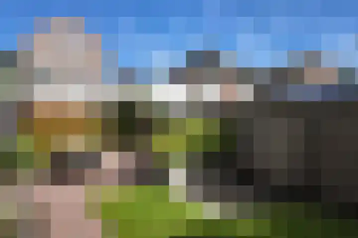 Voorstraat 4 Fijnaart thumbnail 61