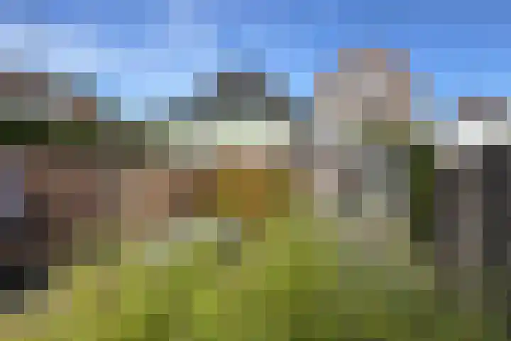 Voorstraat 4 Fijnaart thumbnail 64