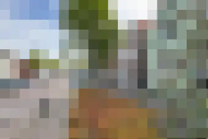 Voorstraat 4 Fijnaart thumbnail 69